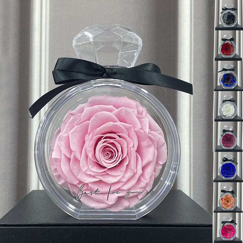 Rose éternelle sous cloche — Cadeau d’amour intemporel
