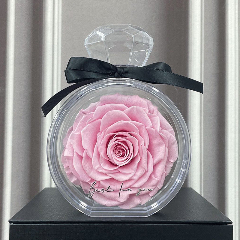 Rose éternelle sous cloche — Cadeau d’amour intemporel