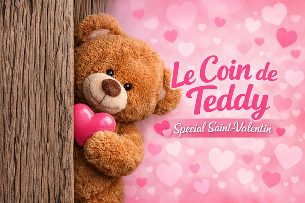 Le coin de Teddy
