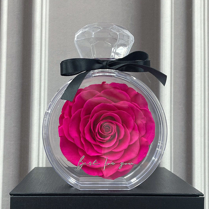 Rose éternelle sous cloche — Cadeau d’amour intemporel