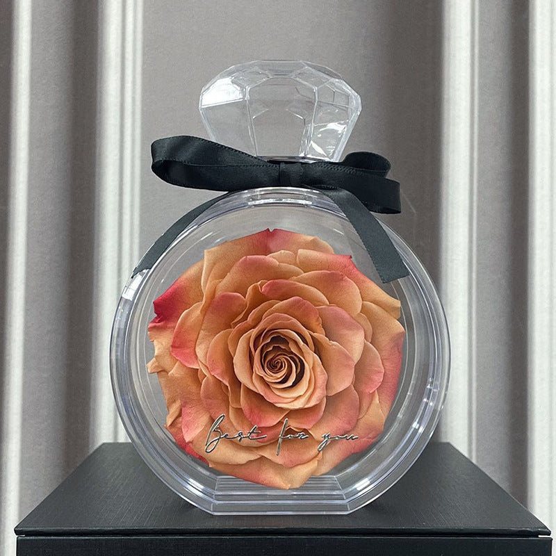 Rose éternelle sous cloche — Cadeau d’amour intemporel